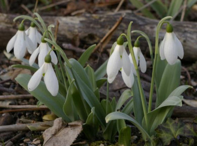 K800_20100324_211.JPG