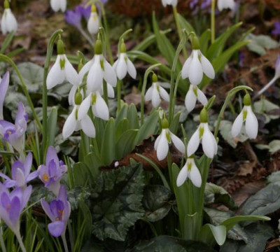 K800_20100324_181.JPG