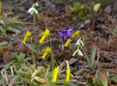 K800_20100324_201.JPG