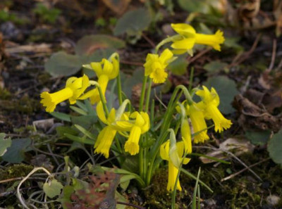 K800_20100324_202.JPG