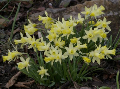 K800_20100324_197.JPG