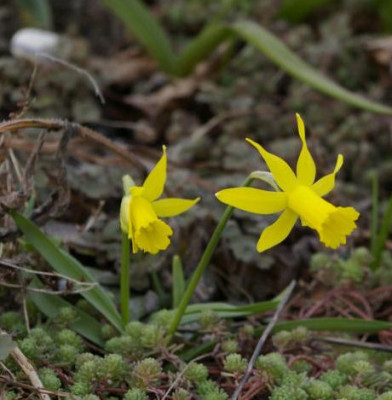K800_20100324_199.JPG