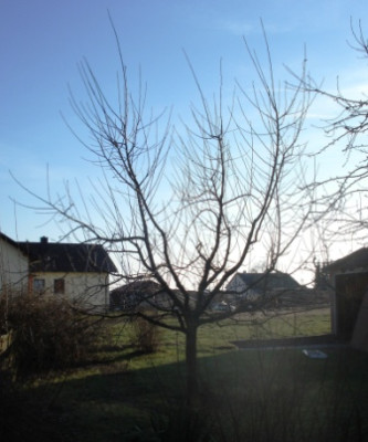 DSC01531.JPG