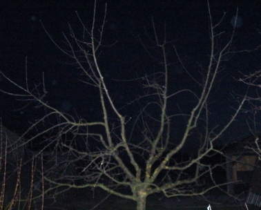 DSC01546.JPG