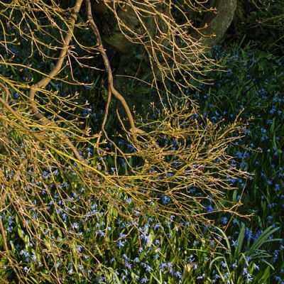 einerundviele_N10765.jpg