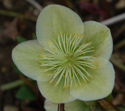 Gruenliche_0010__3441.jpg