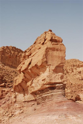 B1848_Medium.JPG