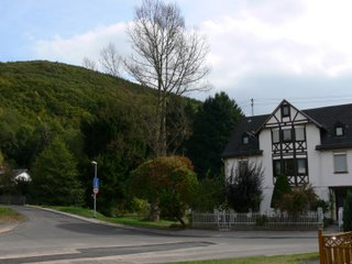 P1050419-1.jpg
