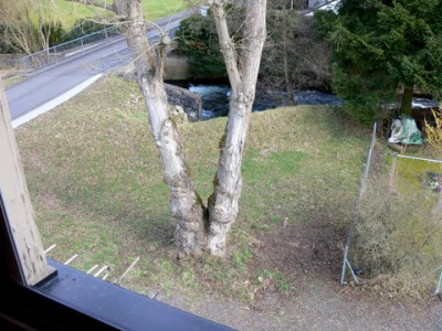 P1040087-1.jpg