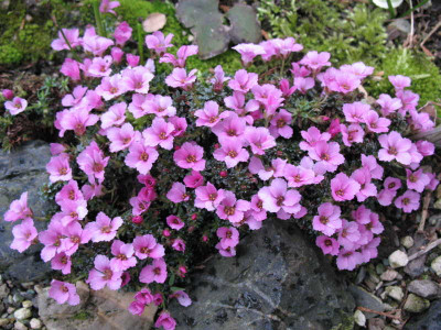 Tray_Polibek__30.3.10._030.jpg