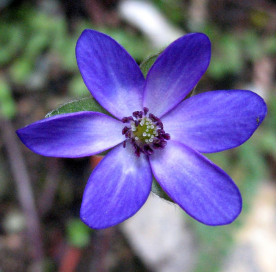 30.3.10._007.jpg