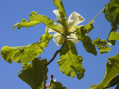 RIMG0225.JPG