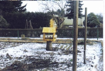 Vogelhaus_fur_Spechte.jpg