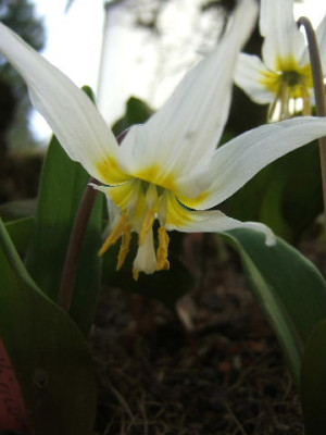 DSCF0210.JPG