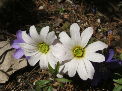 DSCF0169.JPG