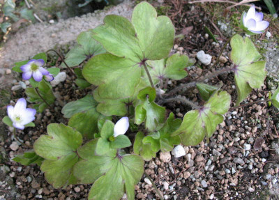 5.4.10._023.jpg
