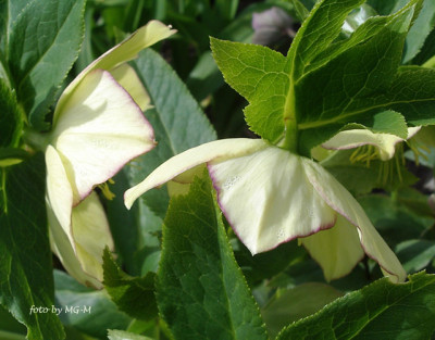 YellPicIMGP5605.jpg