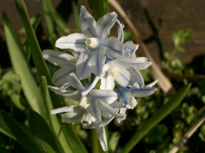 IMGP8773.JPG