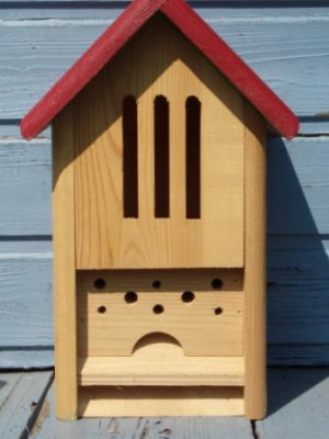 Vogelhaus2.JPG