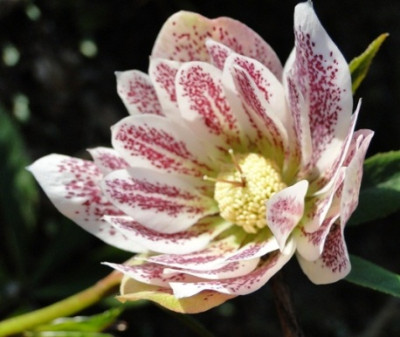7._April_2010_017.JPG