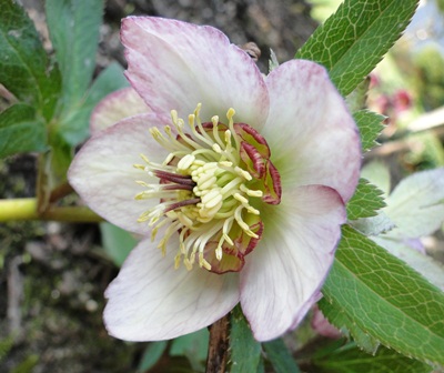 7._April_2010_026.JPG