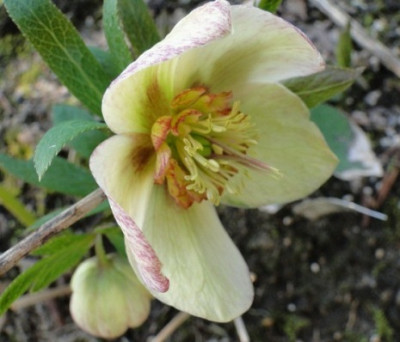 7._April_2010_021.JPG
