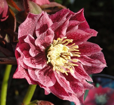 7._April_2010_009.JPG