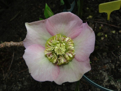 7._April_2010_042.JPG