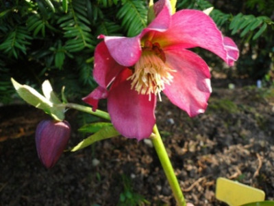 7._April_2010_036.JPG