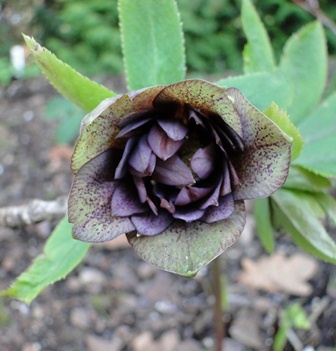 7._April_2010_055.JPG