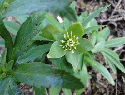 7._April_2010_045.JPG