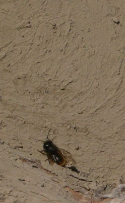 tg_100409.jpg
