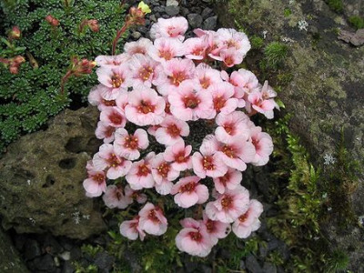 Edelsteine_4.jpg