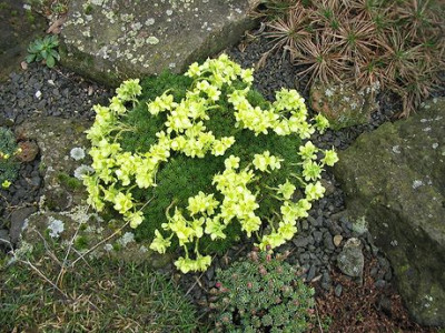 Edelsteine_5.jpg