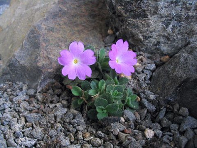 Edelsteine_7.jpg