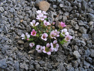 Edelsteine_9.jpg