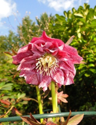 10._April_2010_040.JPG