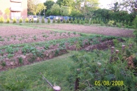 Garten_00111.jpg