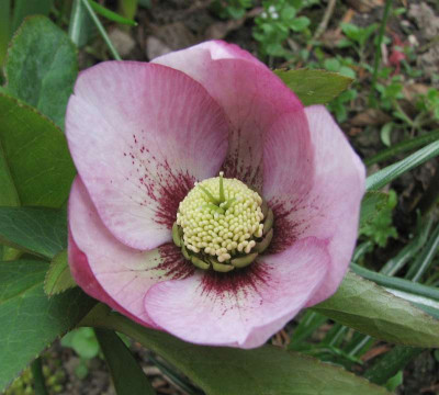 IMG_7689.jpg
