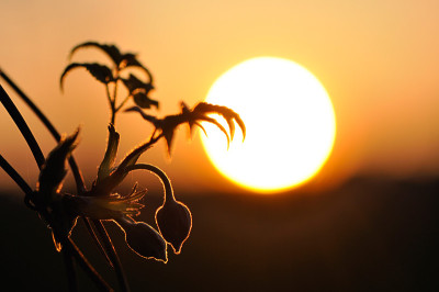 Sonnenuntergang-Apr1010.jpg
