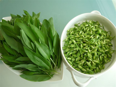 11.04.2010.50.JPG