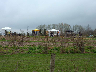 fruehlingsmarkt_labenz2010_20100411.jpg