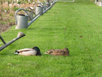 Gartendeko_ue.jpg