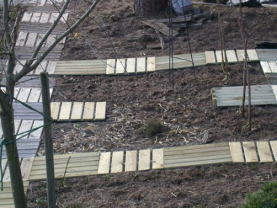 Holzplatten.jpg