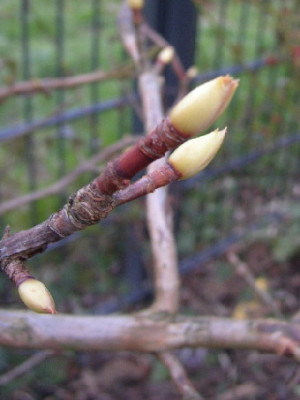 Peilung2.jpg