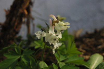 14_._04_._2010_048.jpg