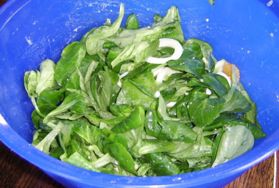 12042010--2.jpg