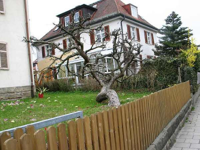 apfel-malerisch-a.jpg