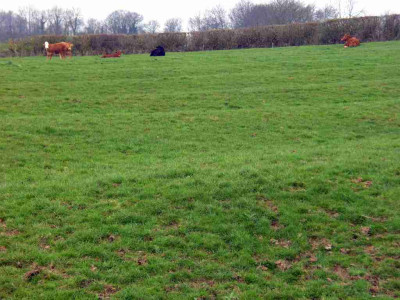 ridge_and_furrow_2.jpg