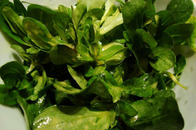 feldsalat_orangen_senf_vinaigrette.jpg